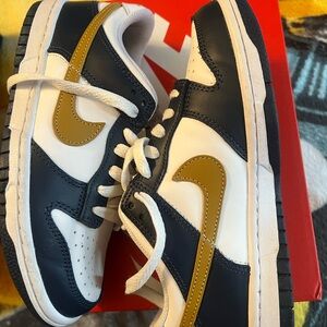 Nike Low Dunks NWOT